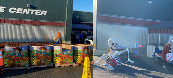 Pumpkin Patch Collage 1.png (254 KB)